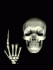 anim240320mobildesign.atw.hu_0049.gif